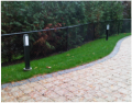Black powder coated chain link blends in nicely with high end landscape and architectural features