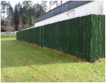 Hedge slats transform chain link fencing and lasts decades maintenance free